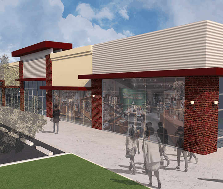 Bissonnet Shopping Center