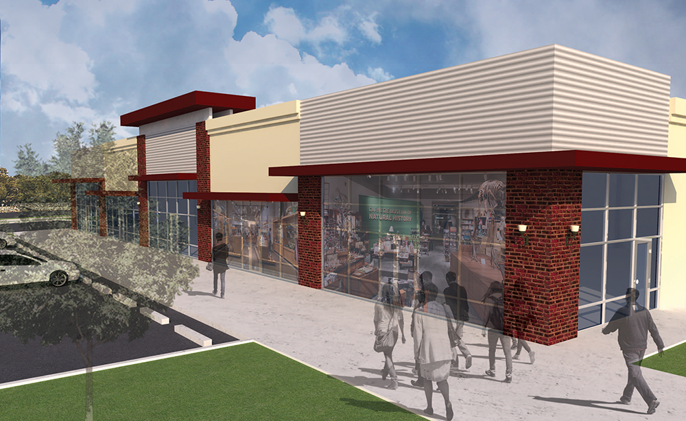 Bissonnet Shopping Center